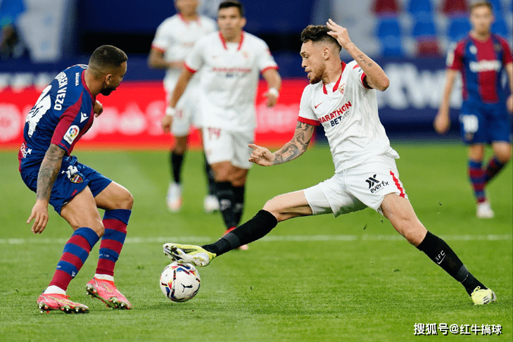 深圳男篮青训最新消息2024最新消息今天